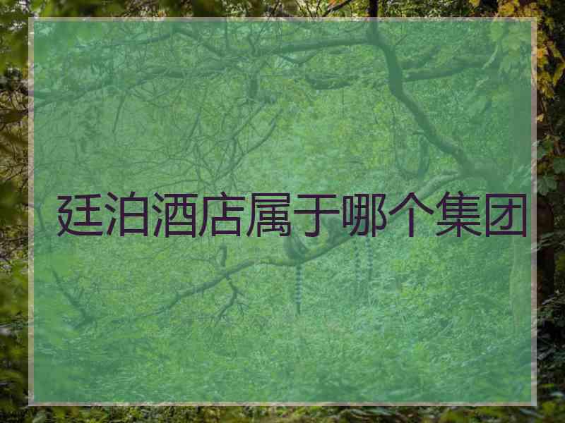 廷泊酒店属于哪个集团