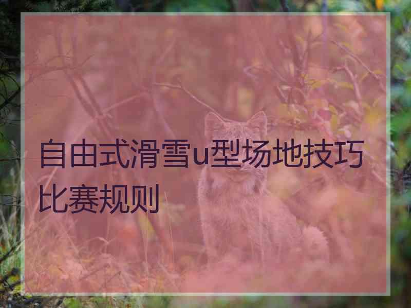 自由式滑雪u型场地技巧比赛规则