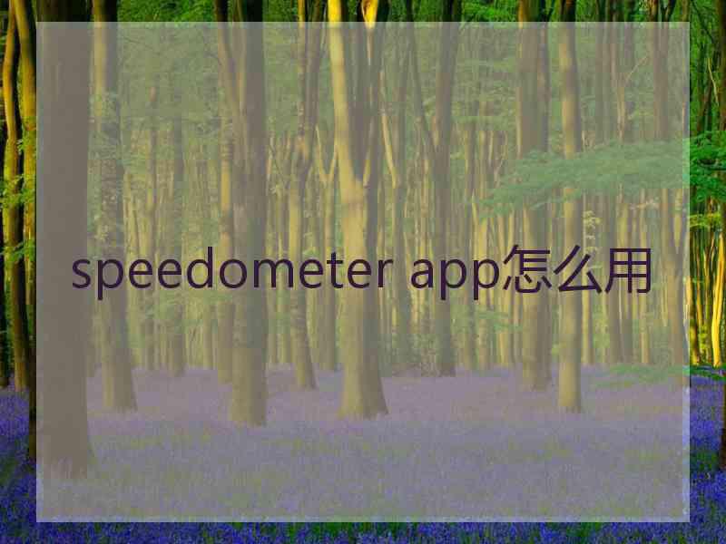 speedometer app怎么用