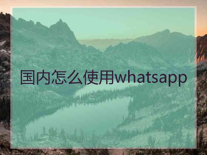 国内怎么使用whatsapp