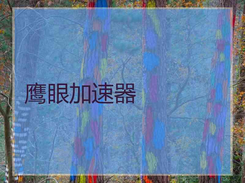 鹰眼加速器