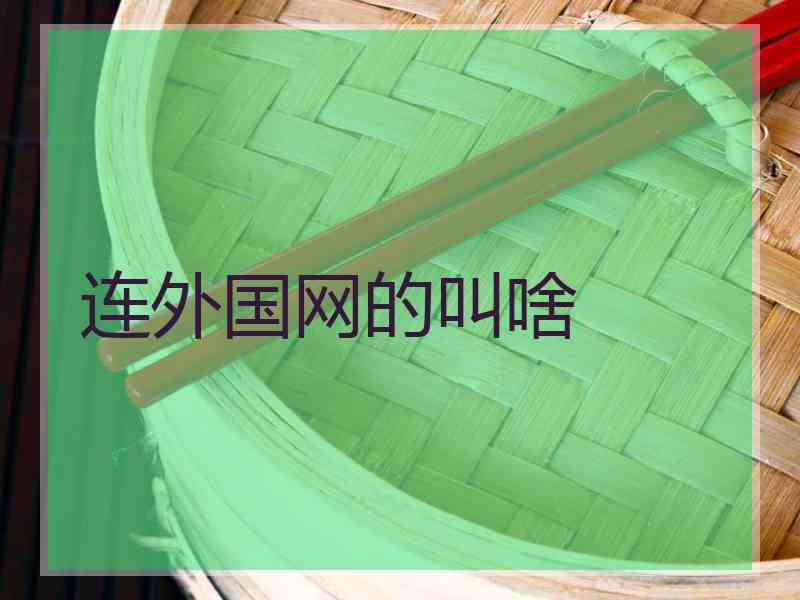 连外国网的叫啥
