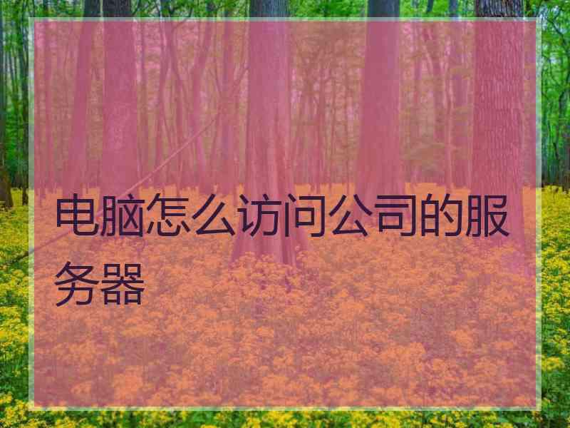 电脑怎么访问公司的服务器