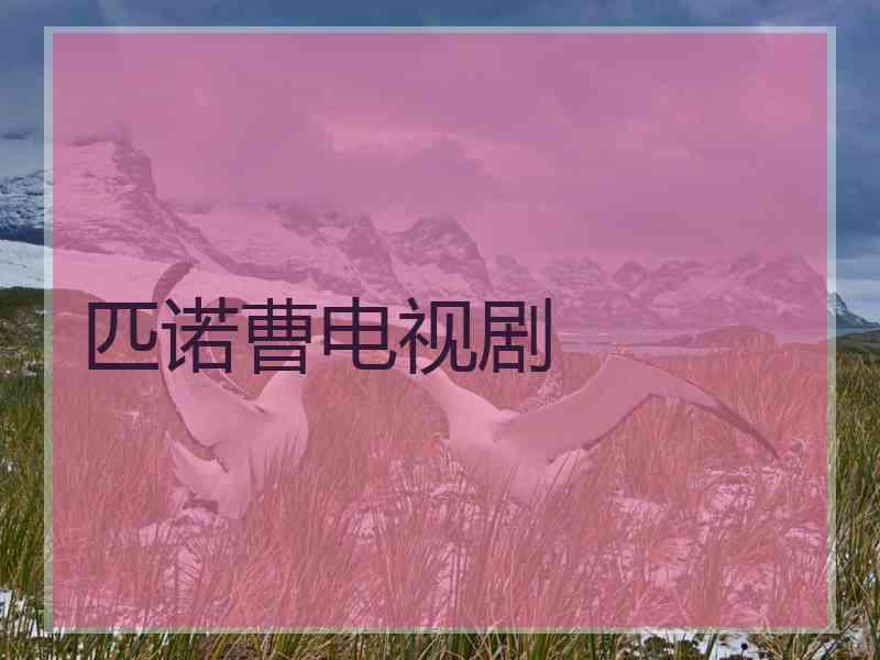 匹诺曹电视剧