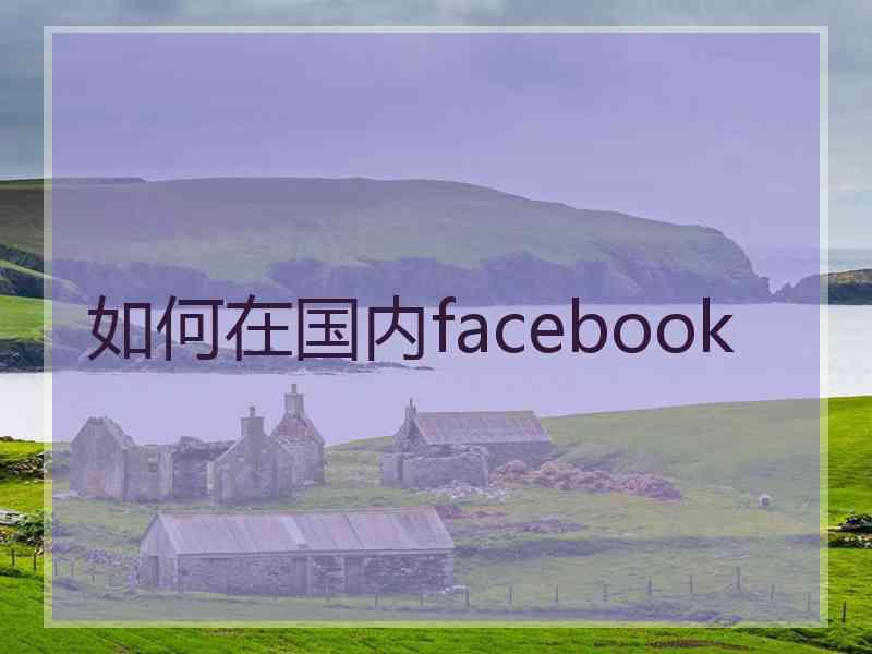 如何在国内facebook