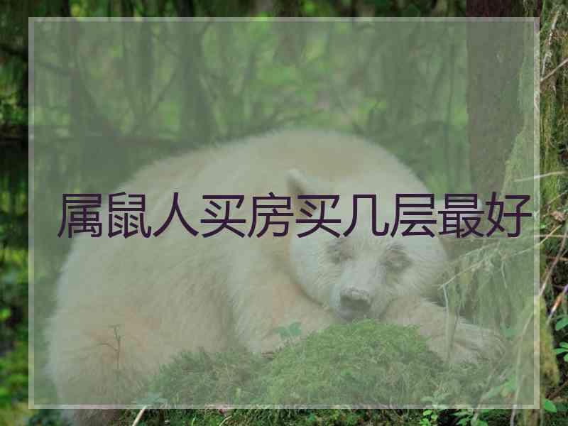 属鼠人买房买几层最好
