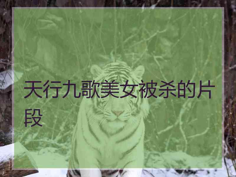 天行九歌美女被杀的片段