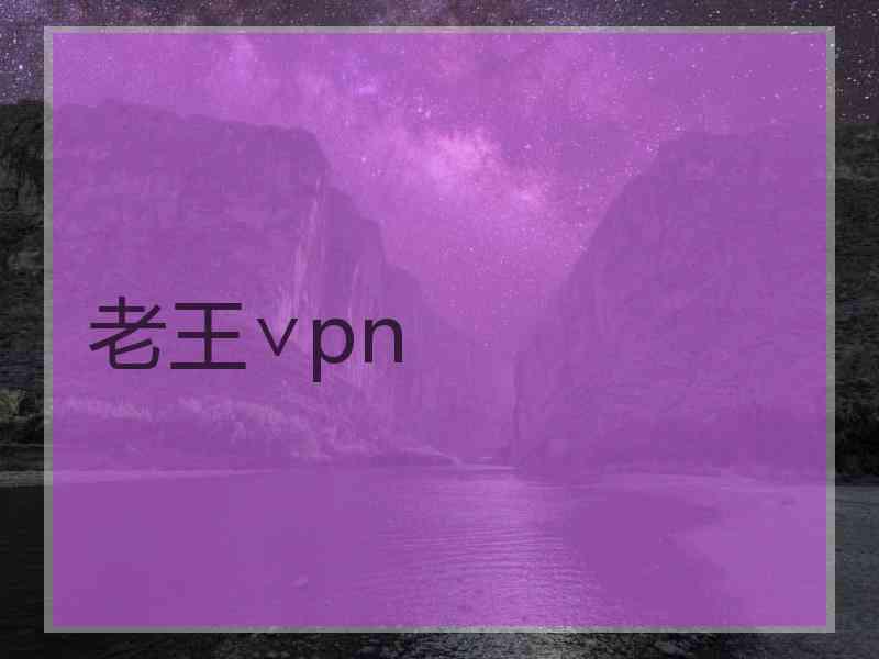 老王∨pn