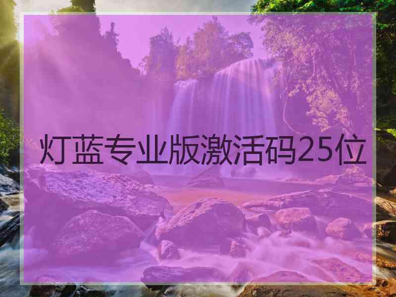 灯蓝专业版激活码25位