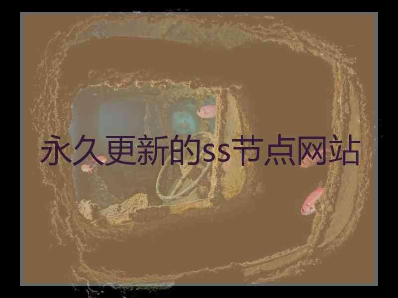 永久更新的ss节点网站