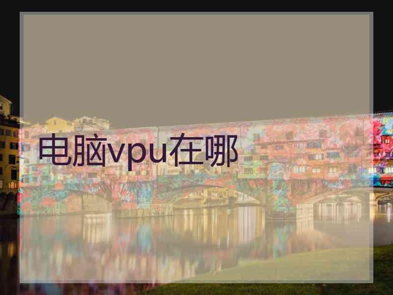 电脑vpu在哪