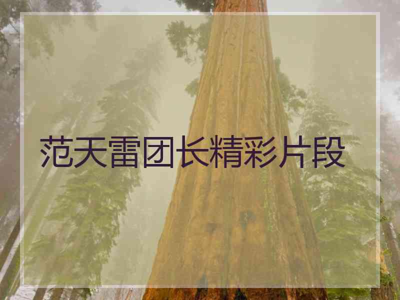 范天雷团长精彩片段
