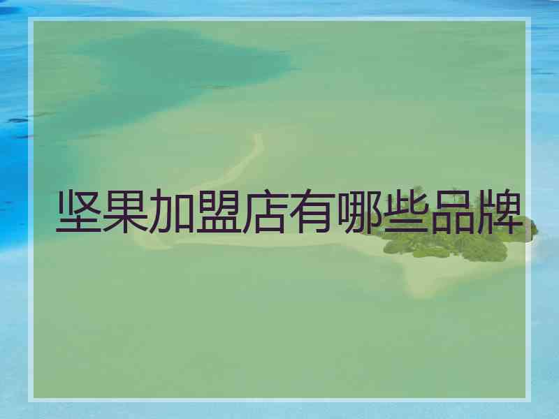坚果加盟店有哪些品牌