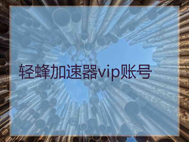 轻蜂加速器vip账号