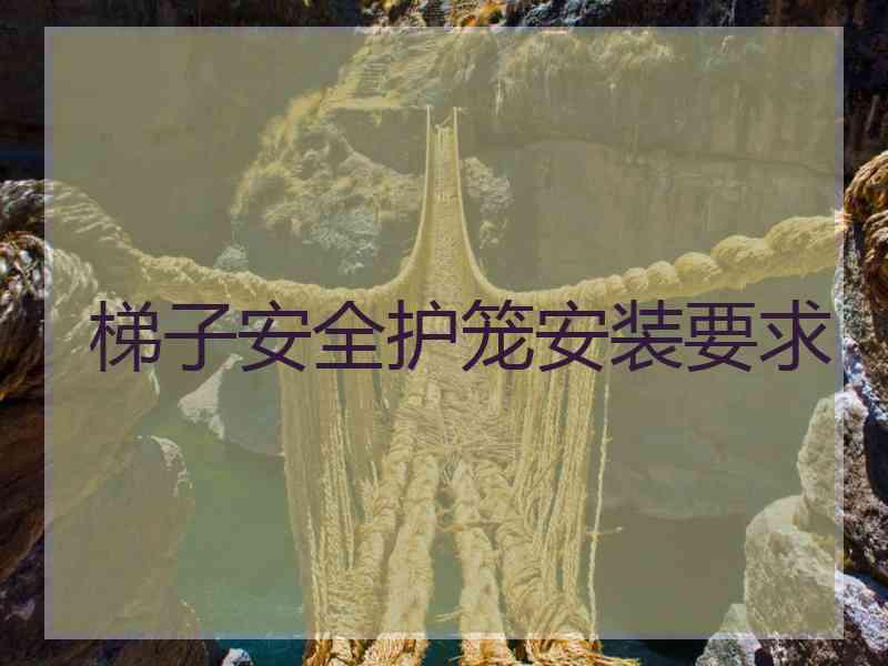 梯子安全护笼安装要求