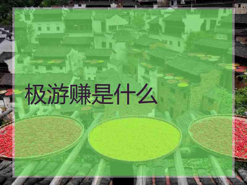 极游赚是什么