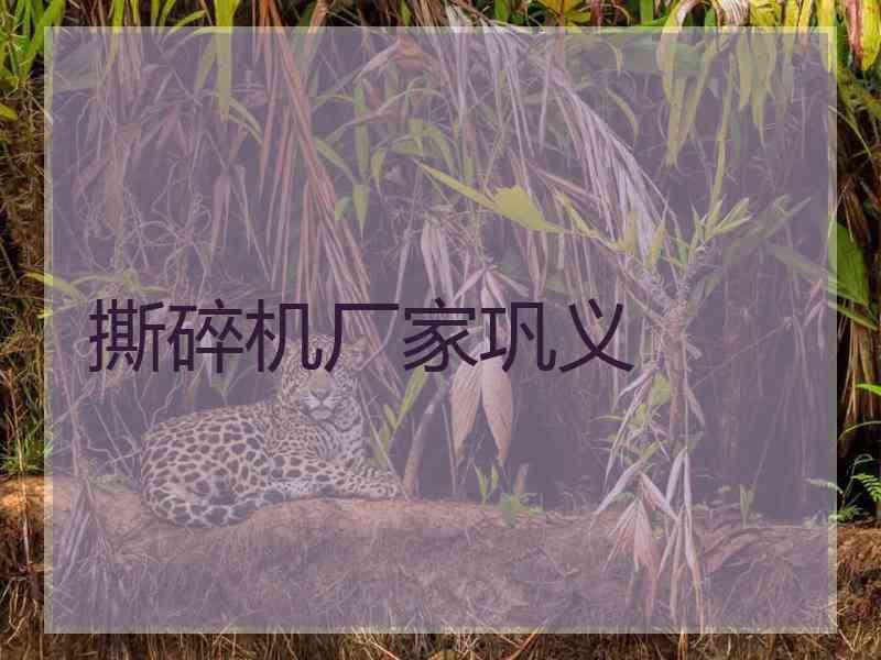 撕碎机厂家巩义