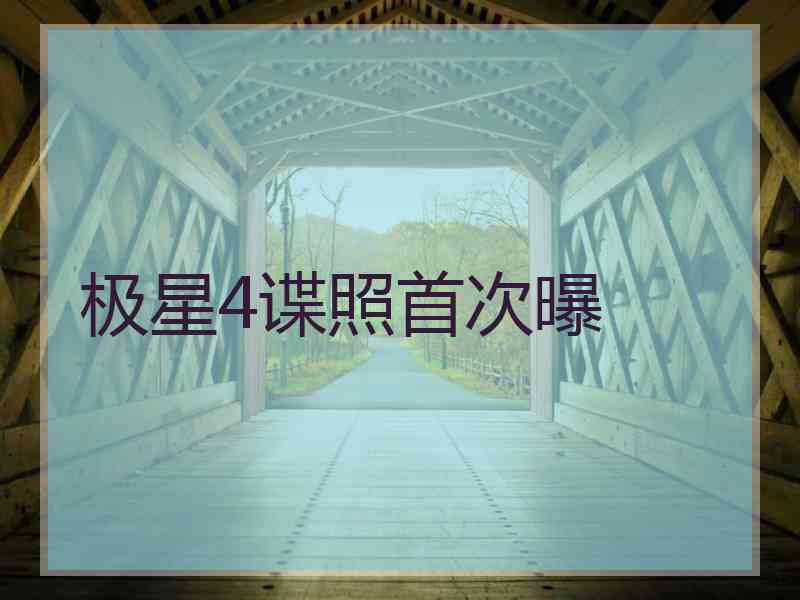 极星4谍照首次曝