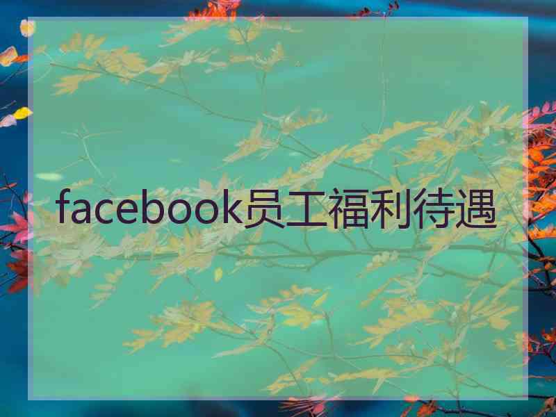 facebook员工福利待遇