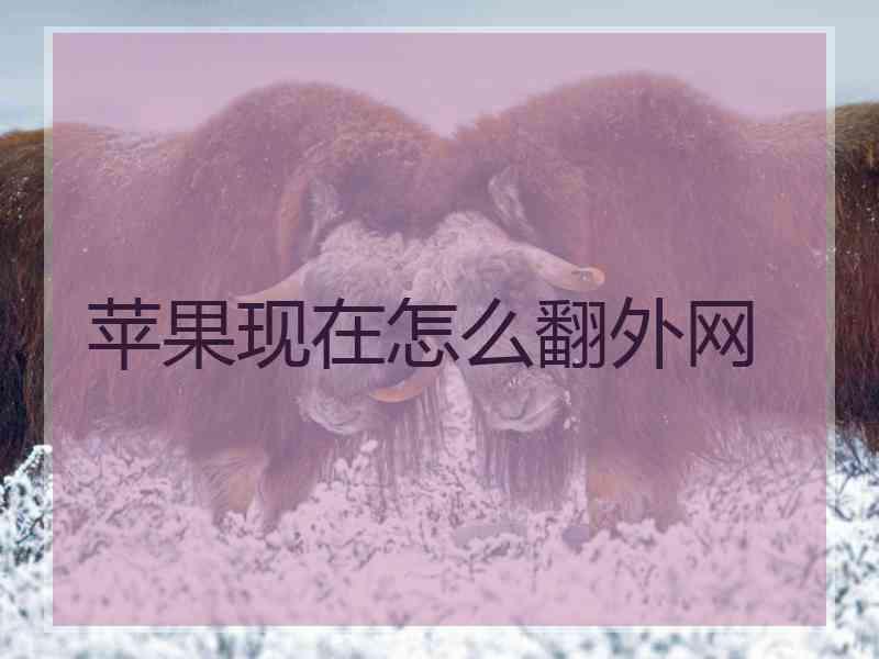 苹果现在怎么翻外网