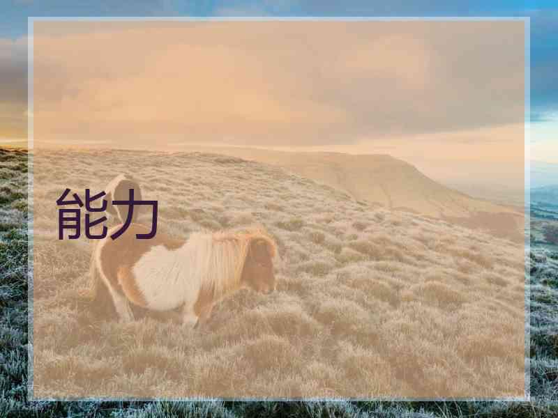 能力