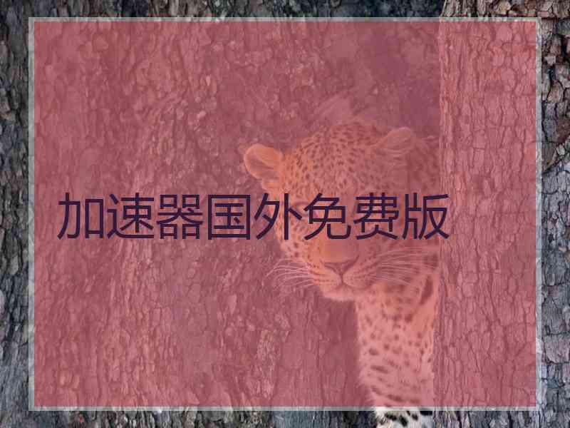 加速器国外免费版