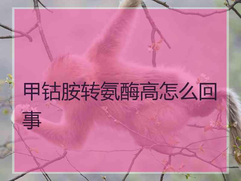 甲钴胺转氨酶高怎么回事