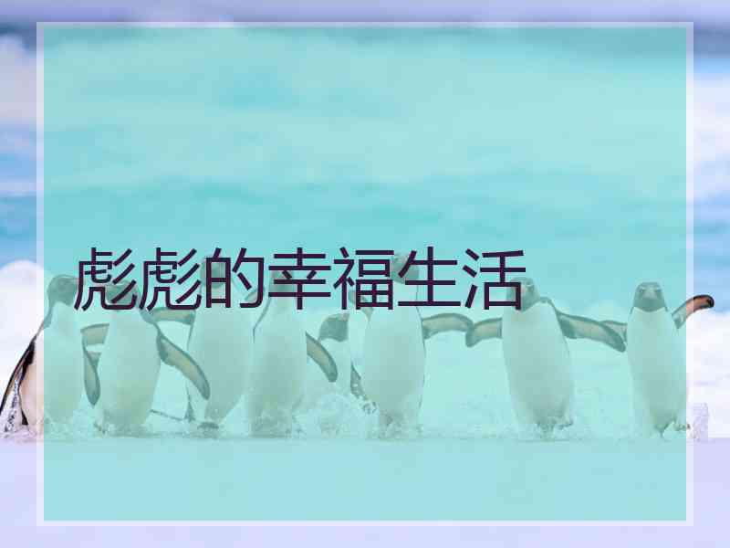 彪彪的幸福生活
