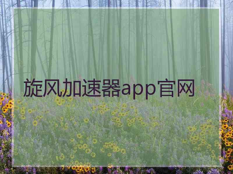 旋风加速器app官网