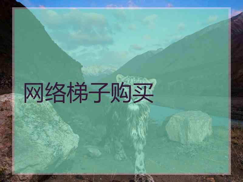网络梯子购买