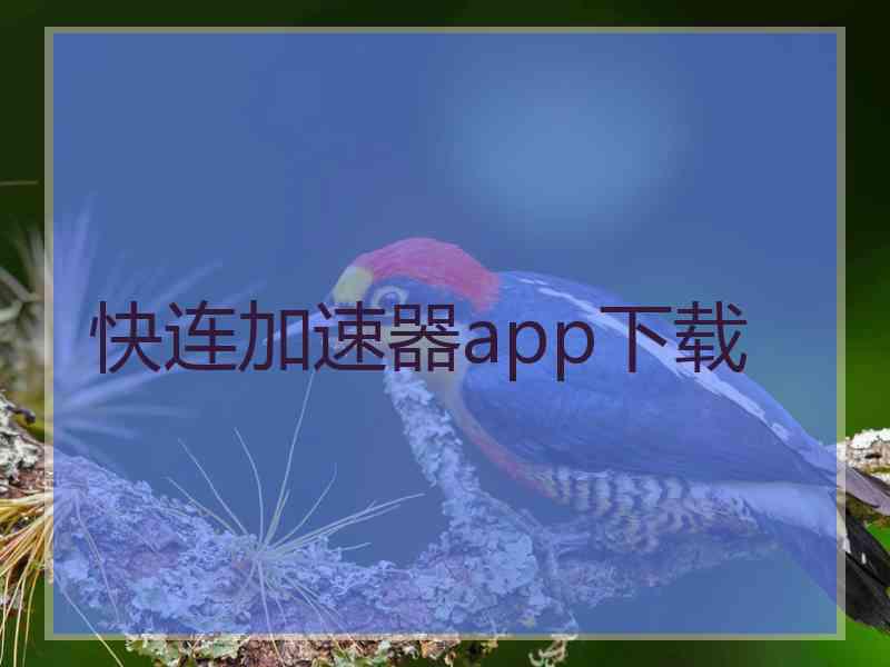 快连加速器app下载