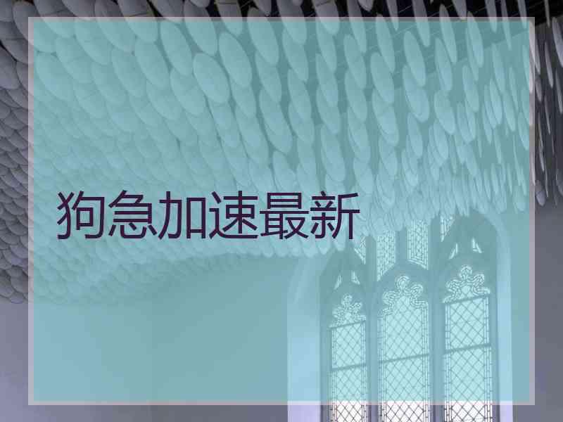 狗急加速最新