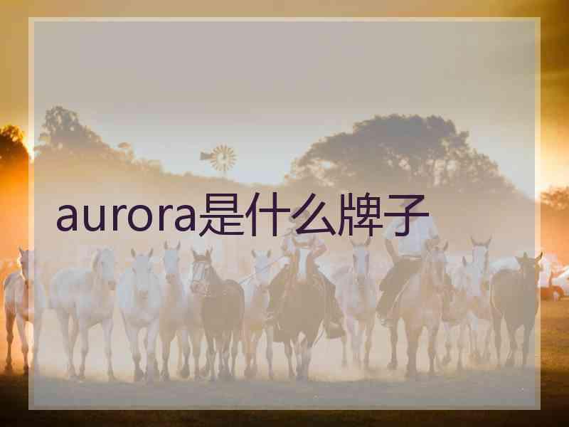 aurora是什么牌子