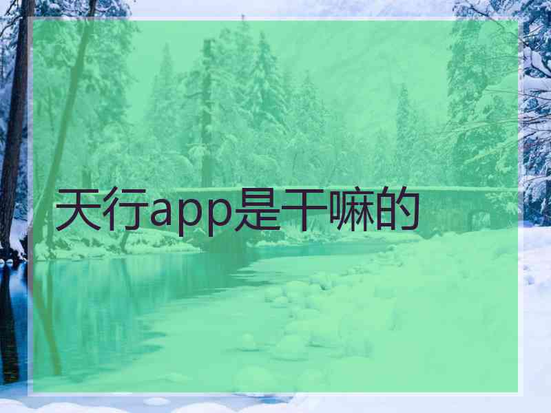 天行app是干嘛的