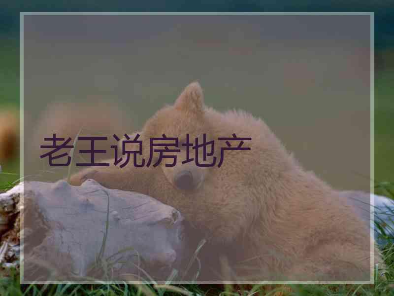 老王说房地产