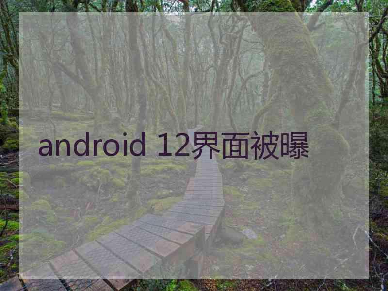 android 12界面被曝