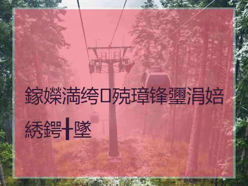 鎵嬫満绔殑璋锋瓕涓婄綉鍔╂墜