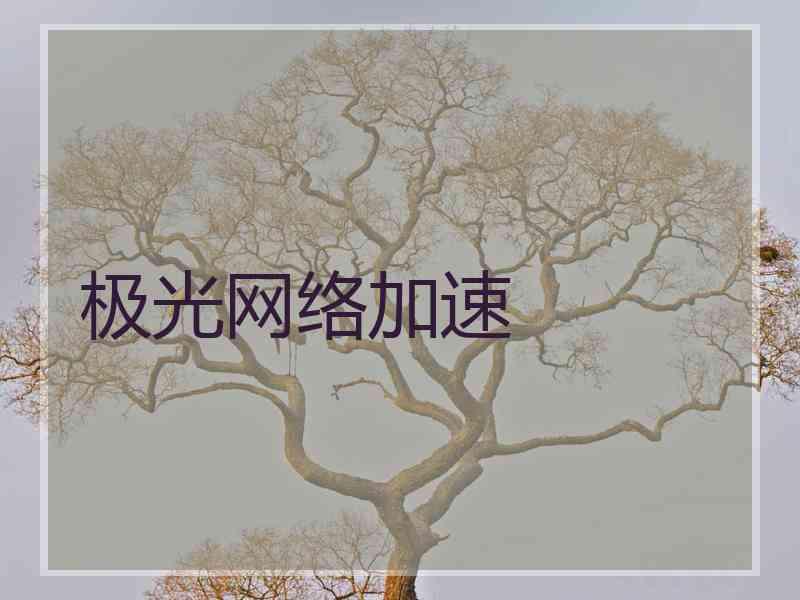 极光网络加速