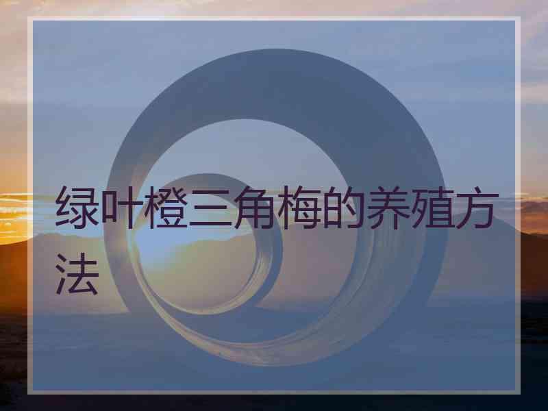 绿叶橙三角梅的养殖方法