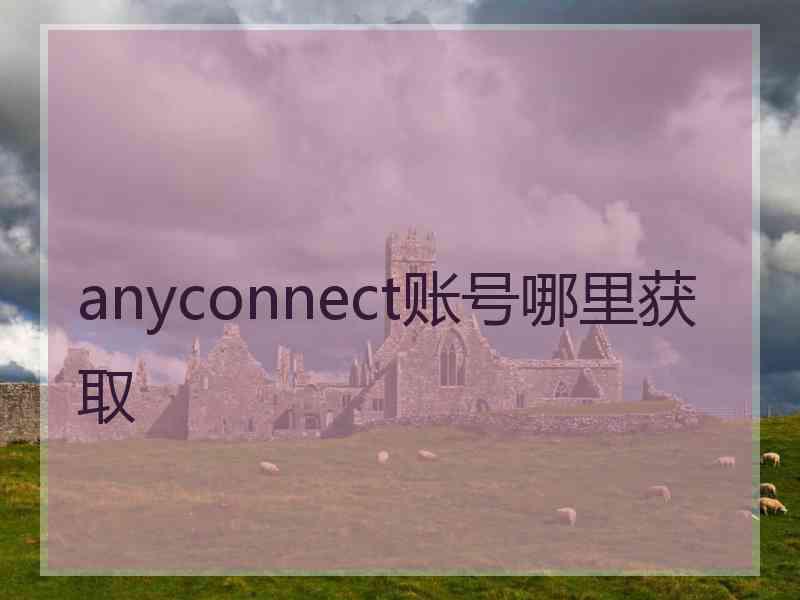 anyconnect账号哪里获取