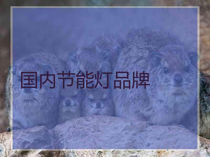 国内节能灯品牌