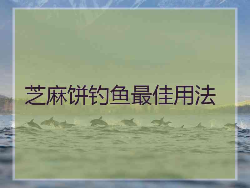 芝麻饼钓鱼最佳用法