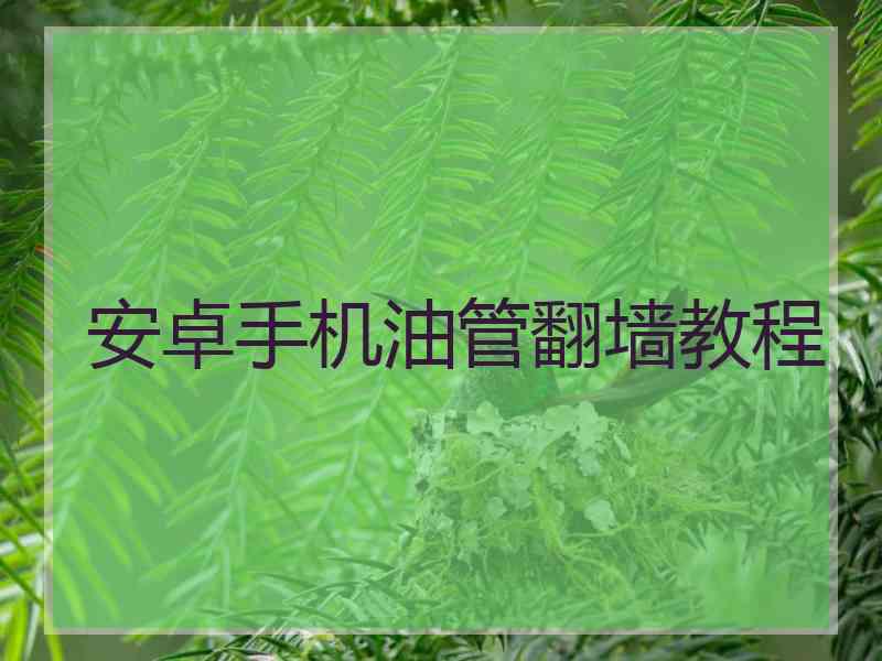 安卓手机油管翻墙教程