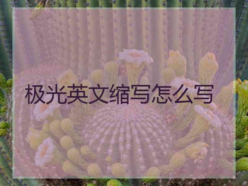 极光英文缩写怎么写