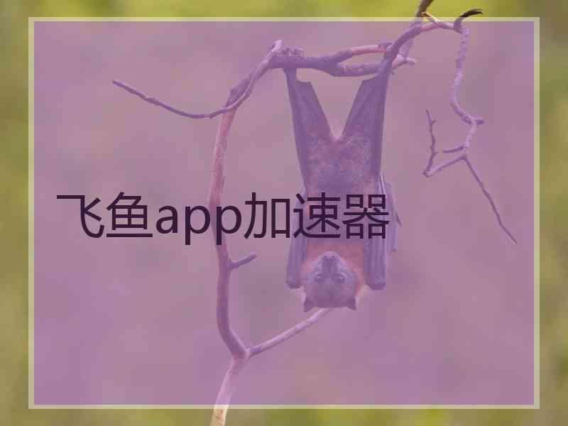 飞鱼app加速器