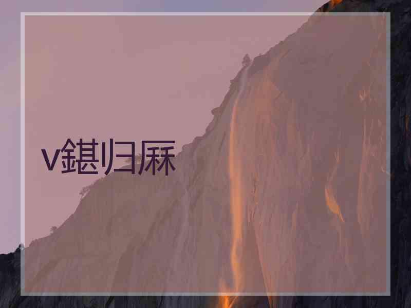 v鍖归厤