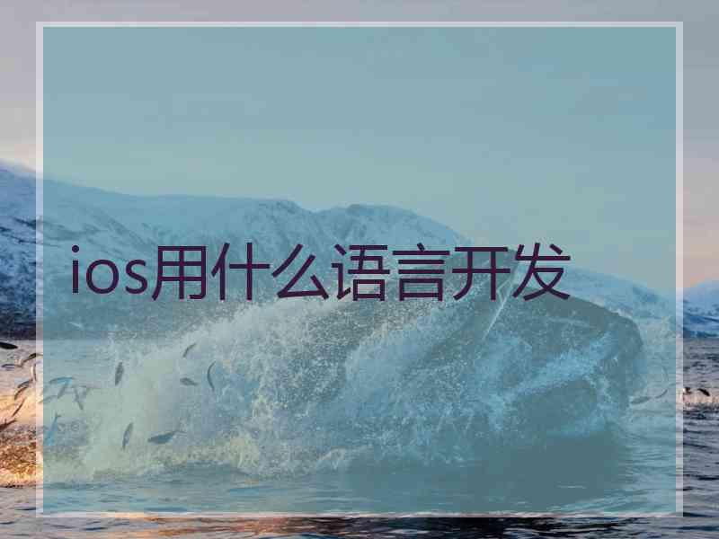 ios用什么语言开发