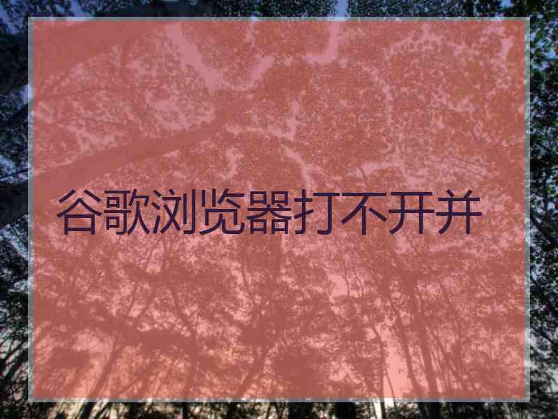 谷歌浏览器打不开并