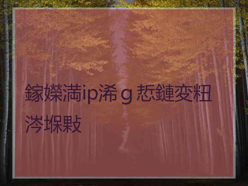 鎵嬫満ip浠ｇ悊鏈変粈涔堢敤