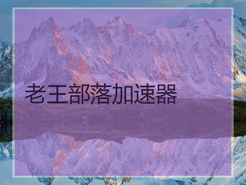 老王部落加速器